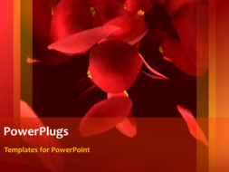 PowerPoint Template - Flowers background
